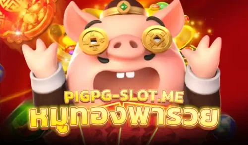 pigpg banner